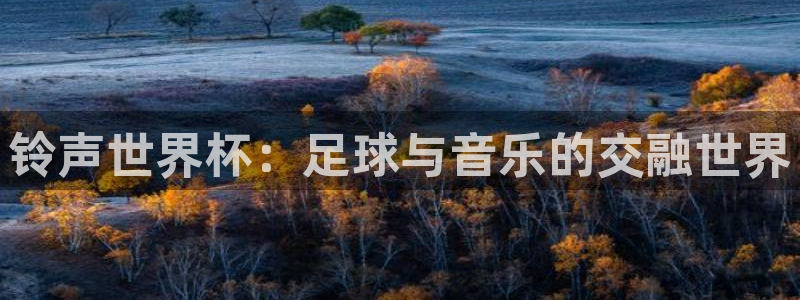 2026世界杯赛程表完整版:铃声世界杯:足球与音乐的交融世界