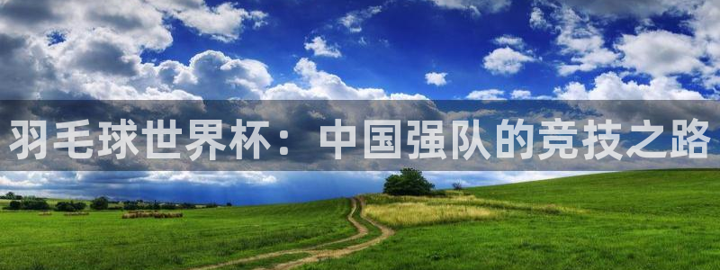 世界杯预选赛规则:羽毛球世界杯:中国强队的竞技之路