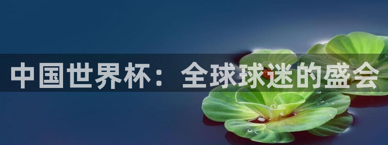 2026世界杯德国队阵容:中国世界杯:全球球迷的盛会