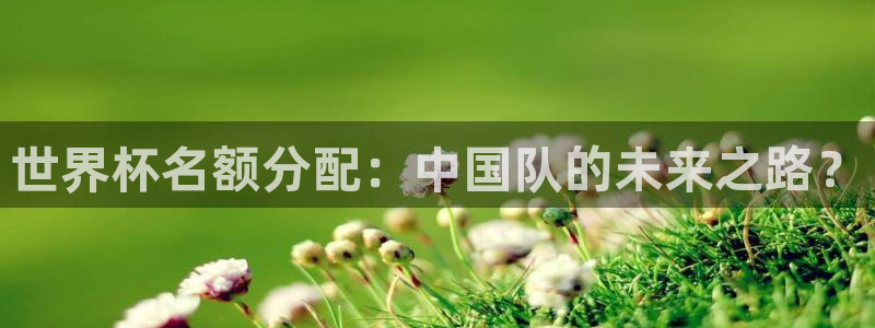 世界杯对阵图2026:世界杯名额分配:中国队的未来之路?